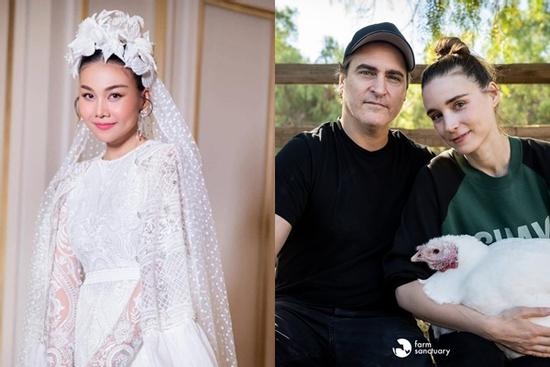 Thanh Hằng và sao Hollywood: Tình yêu đích thực đáng để chúng ta chờ đợi!