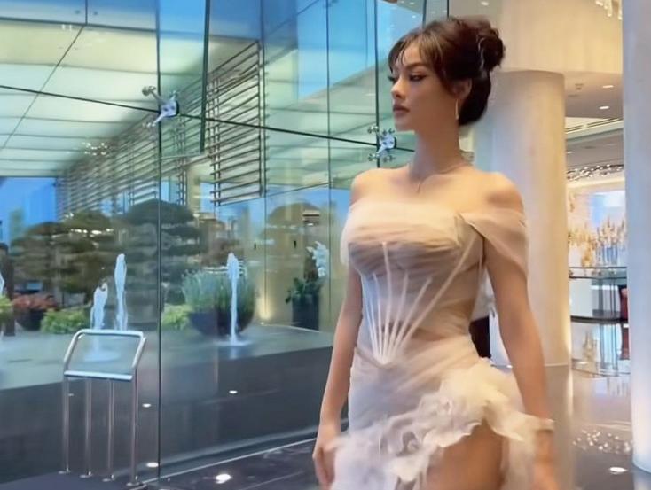 Diện váy trong suốt, mỹ nhân Việt mất điểm vì lỗi hồn nhiên với trang phục bảo hộ-3