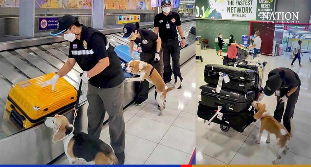 Khách Việt đi Thái Lan tránh mang sản phẩm thịt lợn nếu không sẽ bị truy tố-3