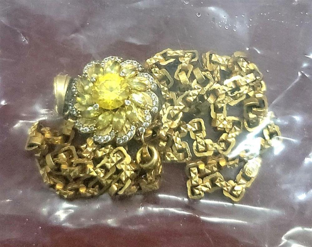 Bắt đối tượng từ TP.HCM về Long An cướp giật dây chuyền vàng-2