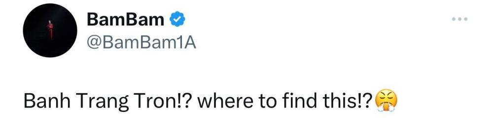 Bạn thân Lisa (BlackPink) tìm chỗ đi ăn bánh tráng trộn khi vừa đến Việt Nam-5