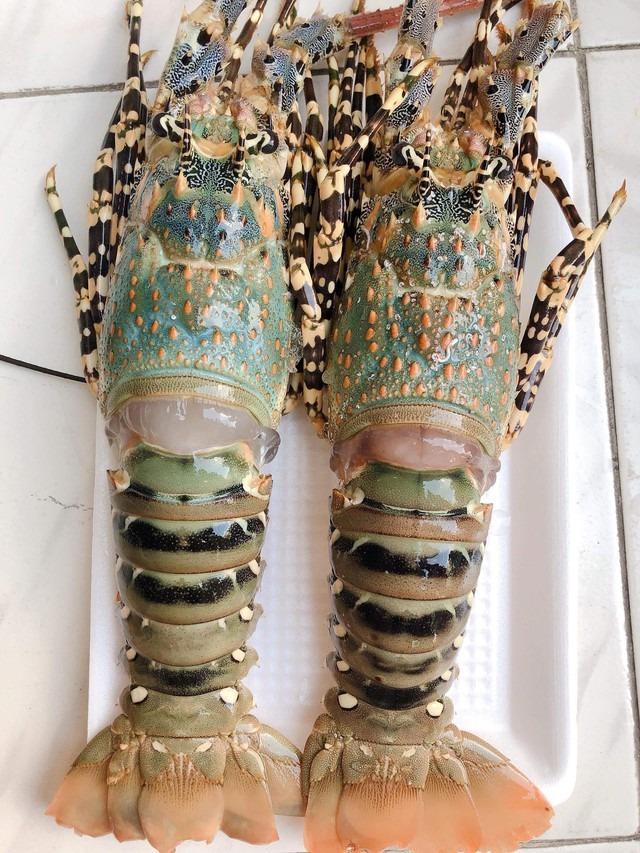 Tôm hùm rất giàu 1 loại vitamin quý giá, chứa hàm lượng dinh dưỡng khủng và 2 món ngon trứ danh từ tôm hùm-2