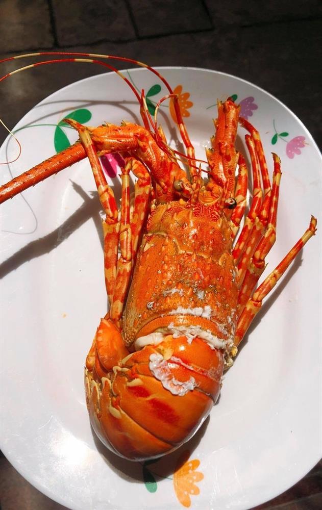 Tôm hùm rất giàu 1 loại vitamin quý giá, chứa hàm lượng dinh dưỡng khủng và 2 món ngon trứ danh từ tôm hùm-3