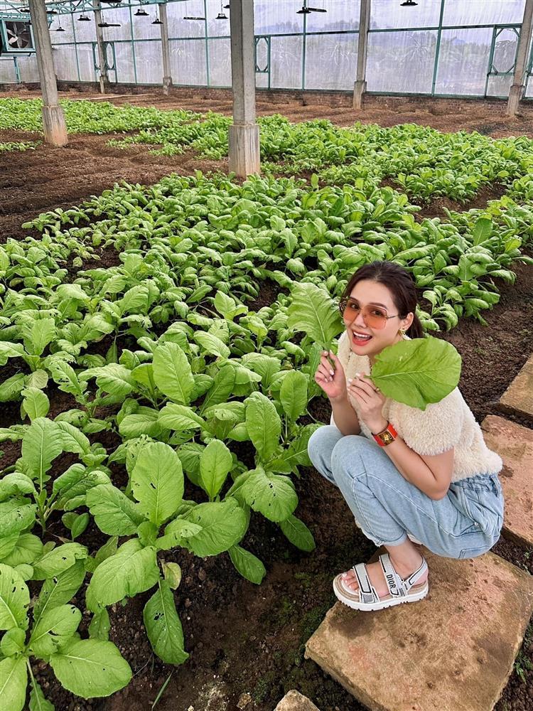 Diễn viên Phanh Lee cùng con trải nghiệm cuộc sống nông thôn-1