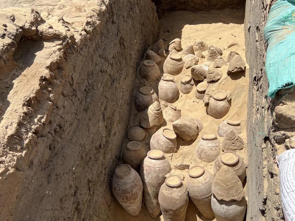 Phát hiện hàng trăm hũ rượu vang 5.000 năm tuổi trong lăng mộ nữ hoàng Ai Cập-1