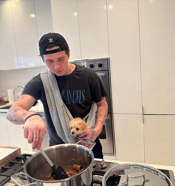 Cậu cả Brooklyn Beckham khẳng định đã quá quen với mọi sự thù ghét-2