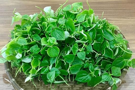 Loại rau mọc dại giá chỉ 15.000/kg ở Việt Nam, được ví như nhân sâm bổ vô cùng