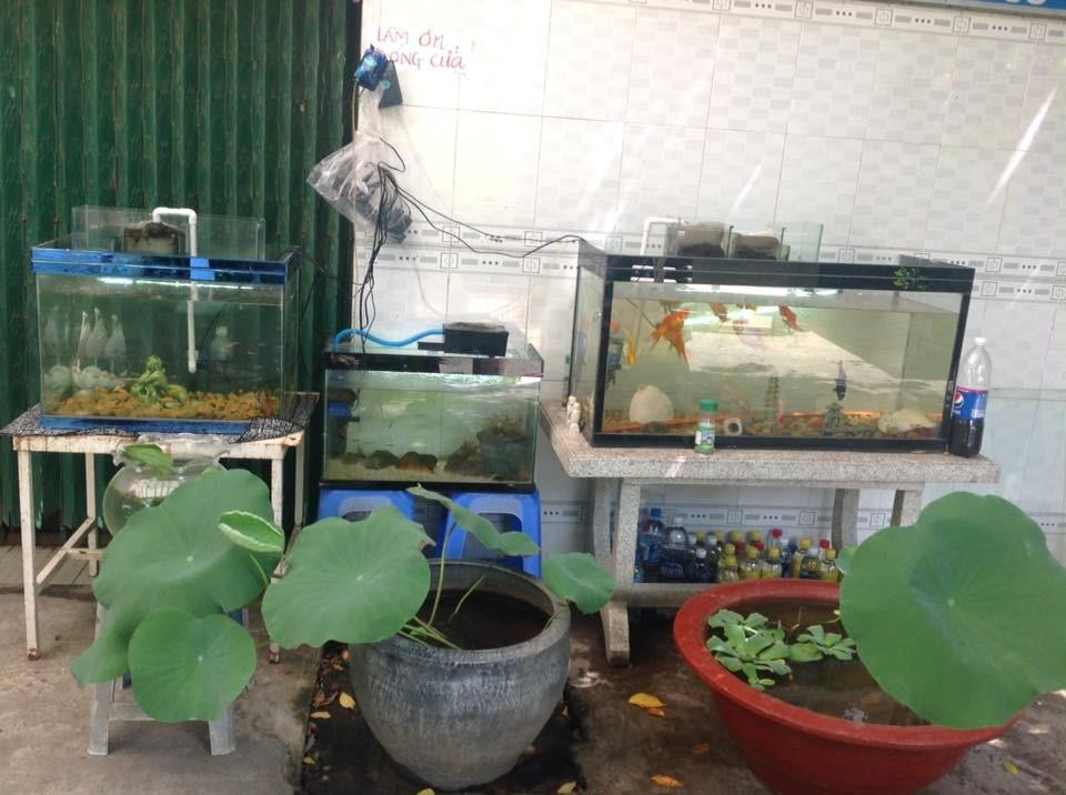 Bất ngờ về ngôi nhà trong hẻm nhỏ của nàng Á hậu bắt được hoa cưới từ Thanh Hằng-14