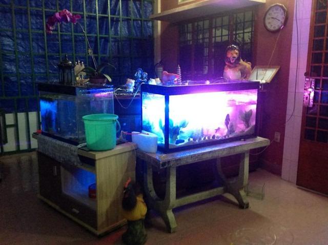 Bất ngờ về ngôi nhà trong hẻm nhỏ của nàng Á hậu bắt được hoa cưới từ Thanh Hằng-7