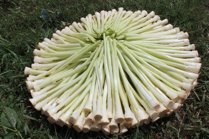 Miền Tây có mấy loại rau tên nghe lạ tai nhưng đem làm món ăn lại rất hấp dẫn-3