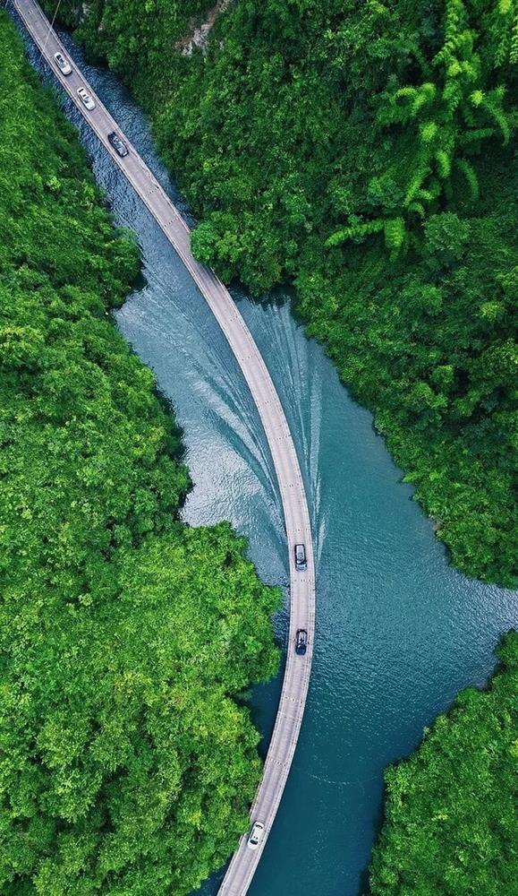 Độc đáo cầu gỗ nổi giữa thung lũng, không ván trụ vẫn chịu được 10.000 người-3