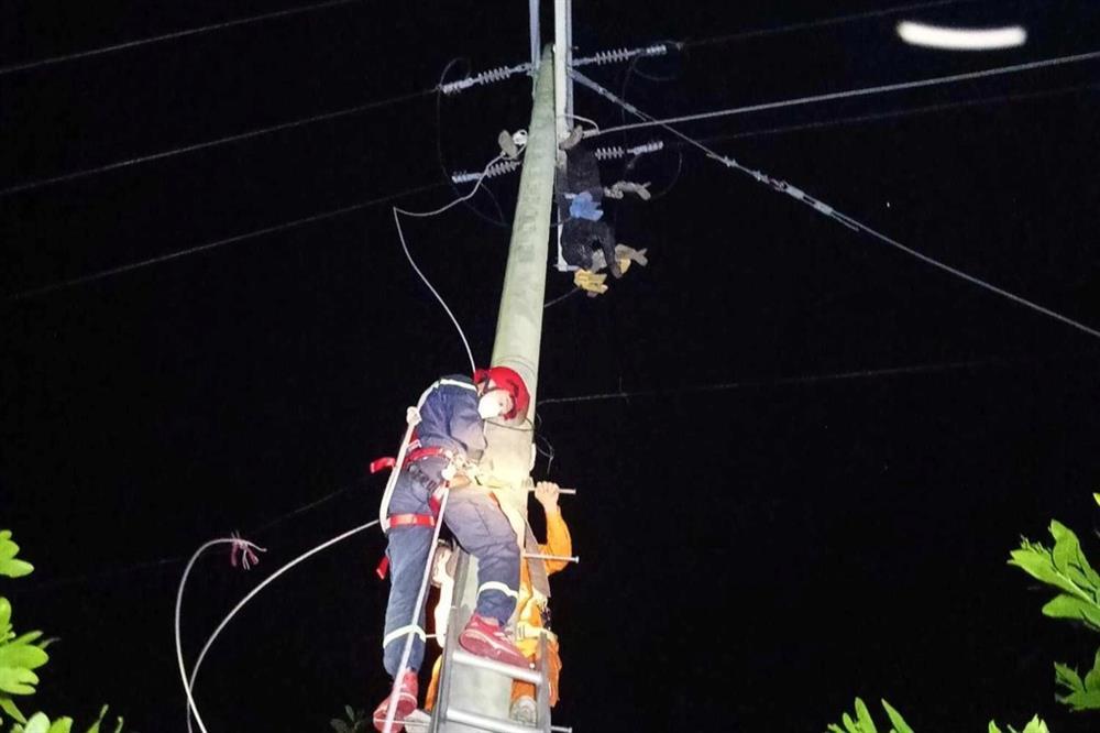 Vợ chồng rủ nhau đi cắt trộm dây điện, chồng bị giật chết tại chỗ-1