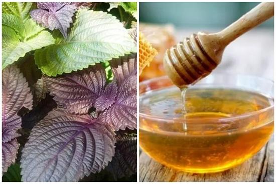 Cách làm trắng da cấp tốc từ lá tía tô