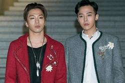 Thành viên duy nhất của Big Bang được tìm kiếm nhiều nhất sau vụ G-Dragon bị khởi tố