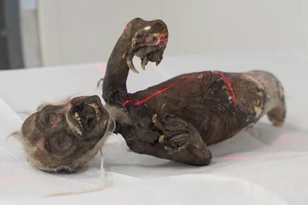 Tiết lộ khuôn mặt của xác ướp Thiếu nữ Inca 500 năm hoàn hảo đến khó tin-4