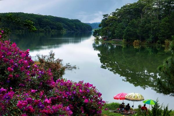 Hoa sim tím nở rộ khắp Đà Lạt, du khách ngỡ như lạc vào thế giới cổ tích-6