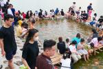 Hà Nội: Yêu cầu di dời 8 tấn cá koi ra khỏi hồ Đầm Đông
