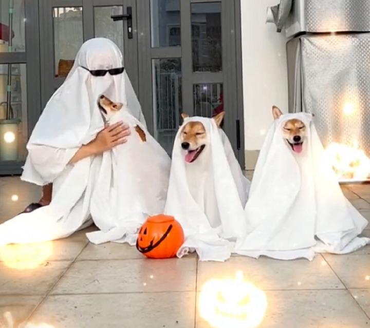Những màn hoá trang Halloween lỗi khiến dân mạng khó nhịn cười-9