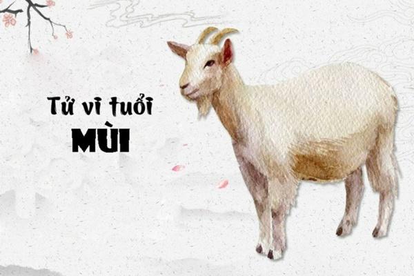 Tử vi tuần mới từ 30/10 đến 5/11/2023: Cách cải vận 3 con giáp vận trình đang xuống-3