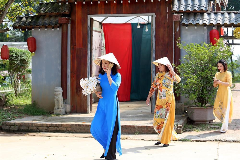 Những vườn cúc hoạ mi đầu mùa đẹp như tiên cảnh, chị em háo hức đi săn-10