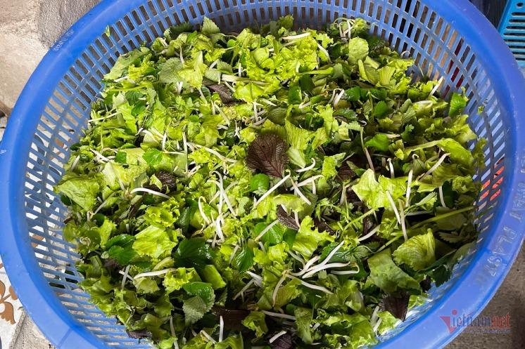 Những loại rau sống ngon mấy cũng tuyệt đối không ăn-1