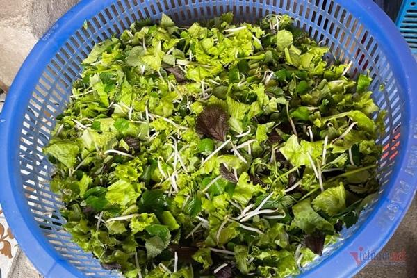 Ai là người nên tuyệt đối tránh xa rau sống?-2