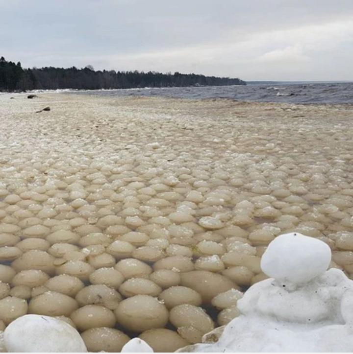 Kỳ lạ hàng ngàn quả bóng tuyết trôi dạt vào bờ biển-1