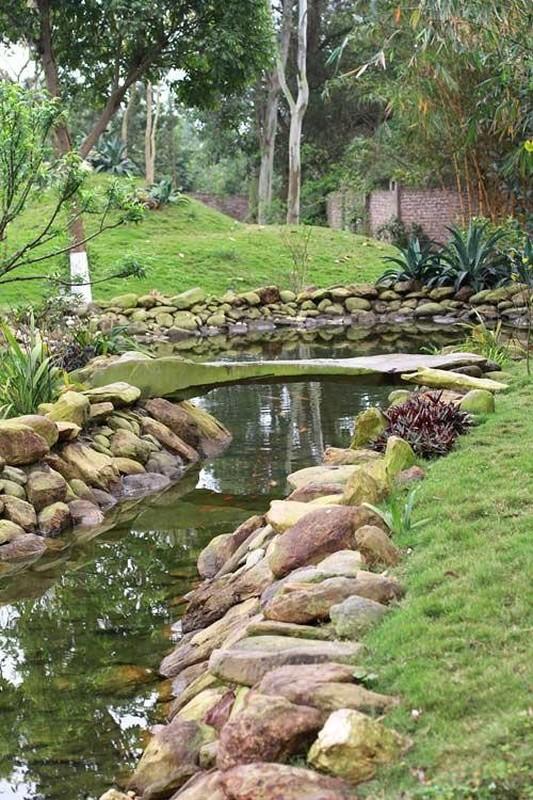 Mê mẩn biệt thự nhà vườn 10.000m2 của chị đẹp Mỹ Linh, nhìn thôi đã thấy thoải mái an yên-3