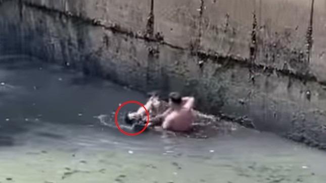 Công an thông tin về clip người đàn ông nhảy kênh ở TPHCM vì bị xử phạt vi phạm giao thông-1