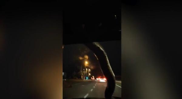 Tài xế phát hoảng thấy trăn bò lên kính lái khi ô tô chạy trên đường cao tốc-1