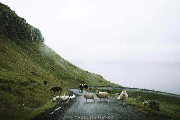 Mê mẩn vẻ đẹp yên bình đến siêu thực của quần đảo như tách biệt với thế giới-6