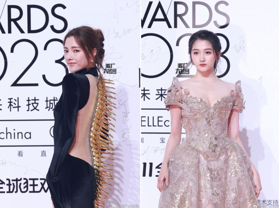 Địch Lệ Nhiệt Ba thất bại khi bắt chước Phạm Băng Băng, bị chê già sến-6