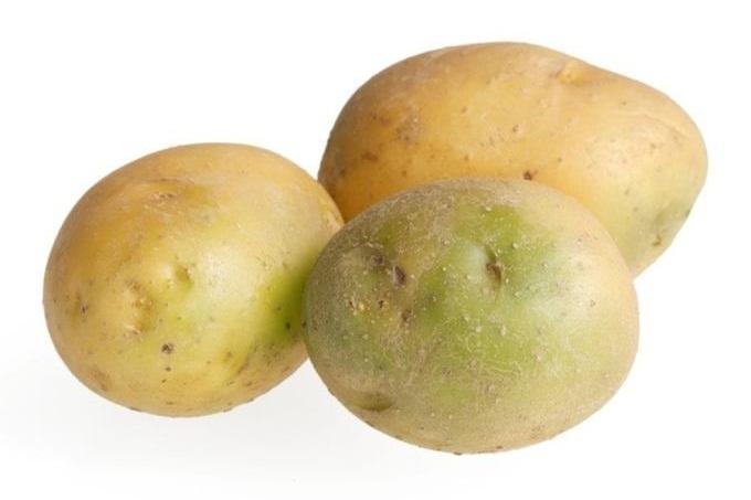 Có được uống cà phê khi ốm?-2