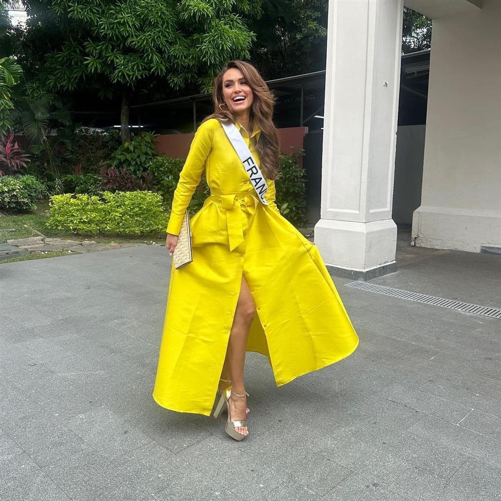 Người đẹp Canada mặc lại váy của Thùy Tiên ở Hoa hậu Hoàn vũ-10