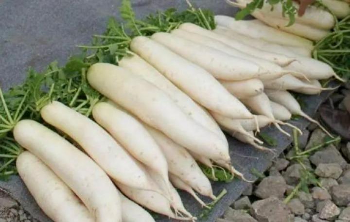 Loại củ chỉ mùa đông mới có, là thần dược cho sức khỏe, giá lại rẻ bèo-2