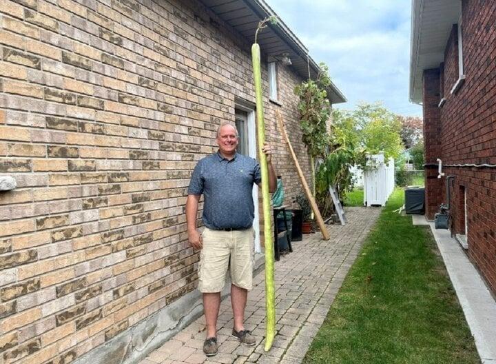 Quả bí xanh dài hơn 2,5m phá kỷ lục thế giới-1