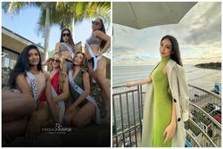 Miss Universe 2023: Dàn hoa hậu đọ dáng với bikini, Quỳnh Hoa đẹp sắc nét