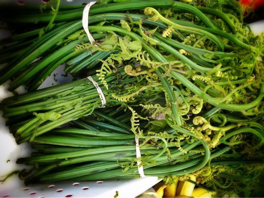 Loại cây dại được mệnh danh vua các loại rau, thuốc bổ cho nhiều người-1