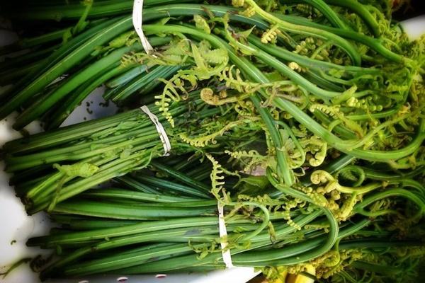 Loại rau nhiều sắt ngang ngửa thịt bò, được ưu ái gọi là rau trường thọ-2