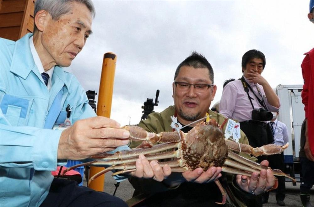 Cua tuyết Nhật Bản có giá bán quy ra tiền Việt tới hơn 1,6 tỷ đồng-1