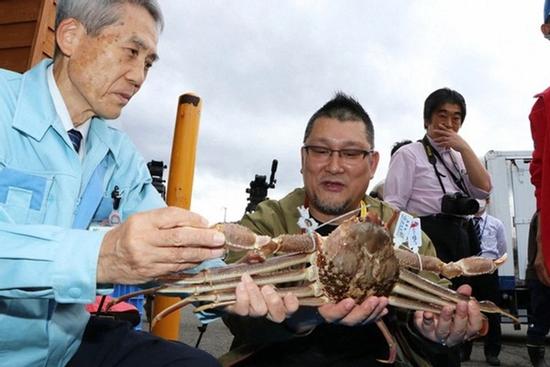 Cua tuyết Nhật Bản có giá bán quy ra tiền Việt tới hơn 1,6 tỷ đồng