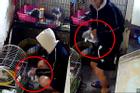 Hà Nội: Nam thanh niên bị tố đến ăn lẩu rồi 'lén bắt trộm mèo tặng bạn gái'