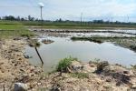 Thai phụ chết đuối vì rơi xuống hố nước ở Hà Tĩnh
