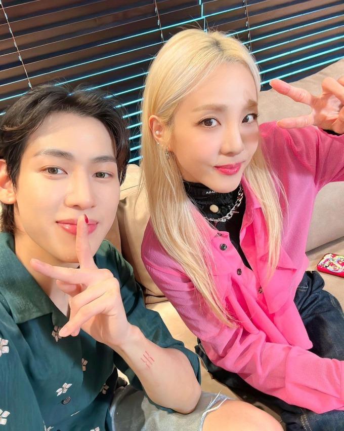 Dara gây tranh cãi vì phát ngôn nhiều fan 2NE1 đã chuyển qua thích BLACKPINK-3