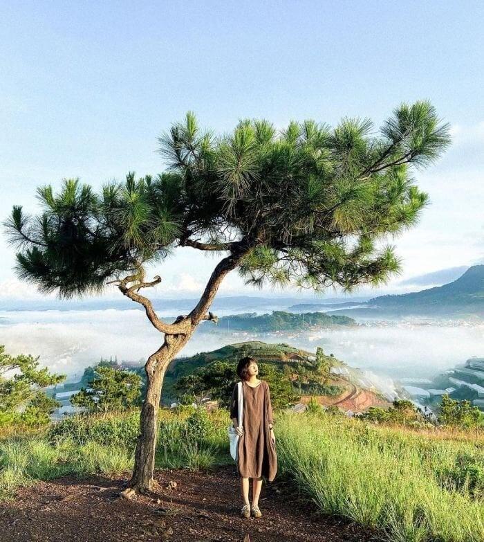 Những địa điểm thích hợp đi du lịch một mình-3