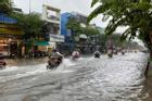 Cảnh báo mưa to gây ngập, Đà Nẵng thông báo cho học sinh nghỉ học trong đêm