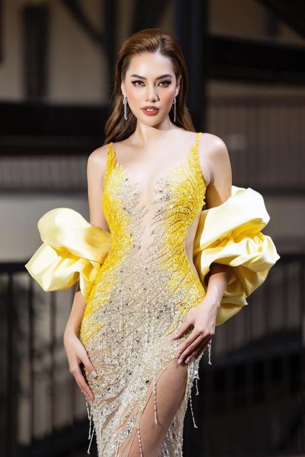 Nhãn hàng hủy hợp tác với Lê Hoàng Phương: Tôi không biết Hoàng Phương đã phẫu thuật thẩm mỹ-2