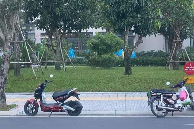 Nhân viên công ty công nghệ chết dưới sân chung cư ở Thủ Đức-1