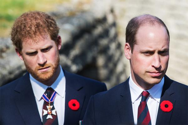 William công khai phớt lờ Harry-3