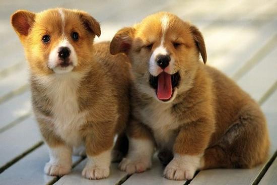 Tháng 10 âm lịch, 4 con giáp vận đỏ như son, 'tiền vào như nước' từ đầu tuần mới 13/11 – 19/11